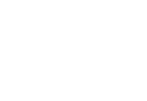 iconcarrio